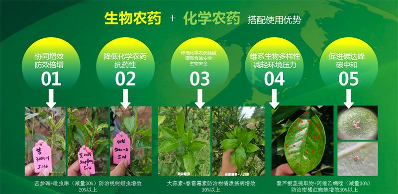 新朝陽在第六屆中國農(nóng)藥行業(yè)市場(chǎng)和銷售高峰論壇做“生物農(nóng)藥+化學(xué)農(nóng)藥,引領(lǐng)植保市場(chǎng)未來”主題報(bào)告