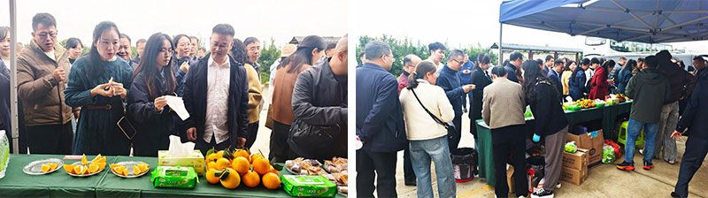 新朝陽(yáng)生物技術(shù)助力綠色防控,推動(dòng)柑橘產(chǎn)業(yè)綠色高質(zhì)量發(fā)展