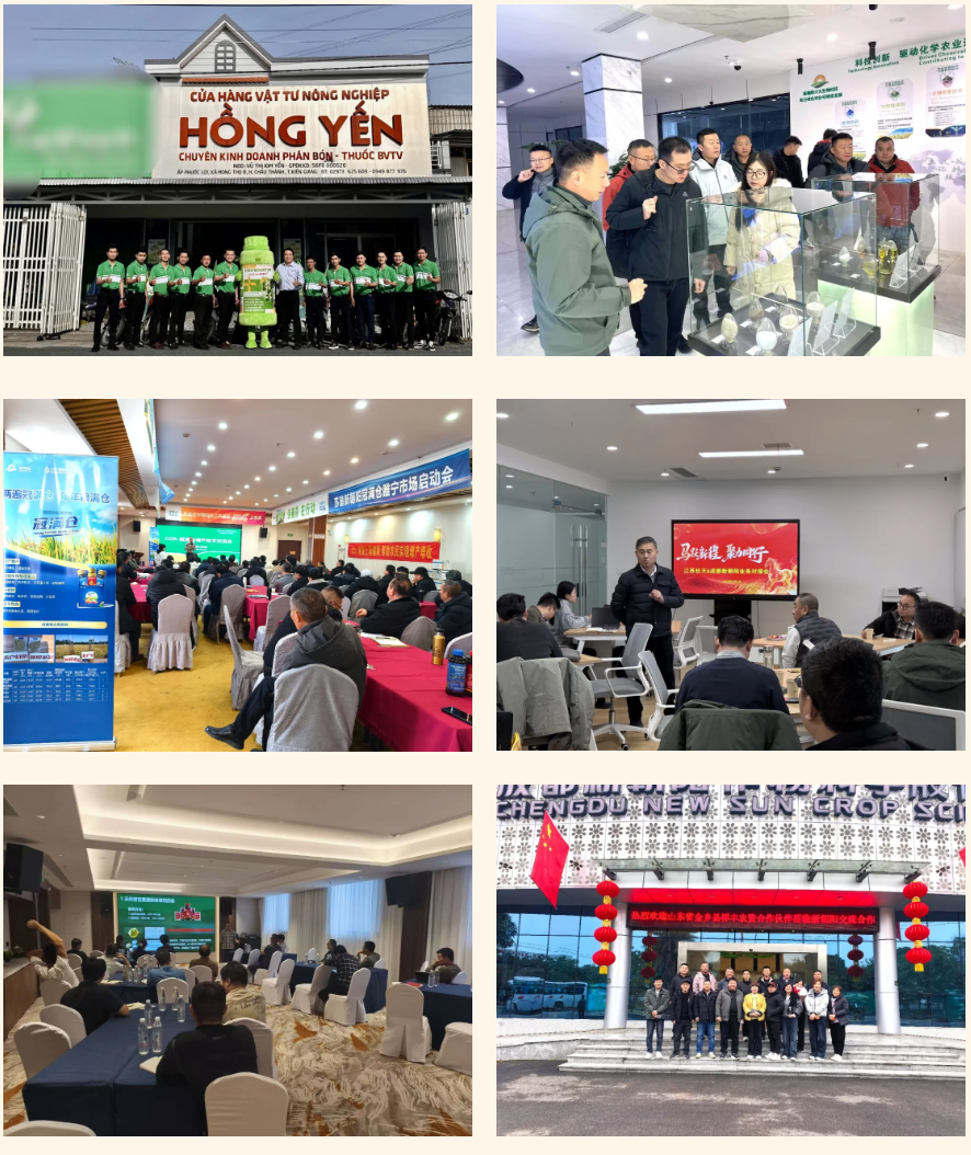 快馬加鞭戰春耕，馬年奮進正當時