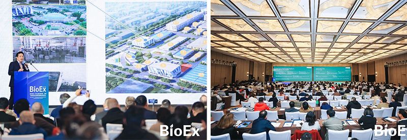 新朝陽亮相BioEx 2026：技術供給+屬地化協同，推動高性能生物刺激素高效落地