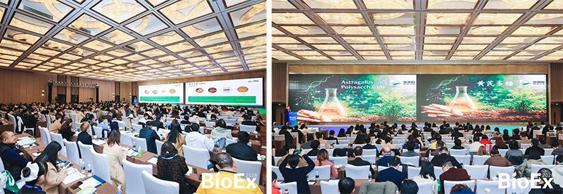 新朝陽亮相BioEx 2026：技術供給+屬地化協同，推動高性能生物刺激素高效落地