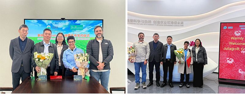 深化國(guó)際化布局，新朝陽與巴西Juliagro簽署戰(zhàn)略合作協(xié)議